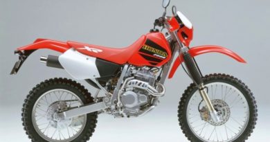 XR 250R my'01