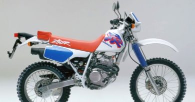 XR 250R my'93 ver. AU