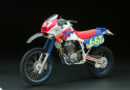 Baja Monster XR 680RN